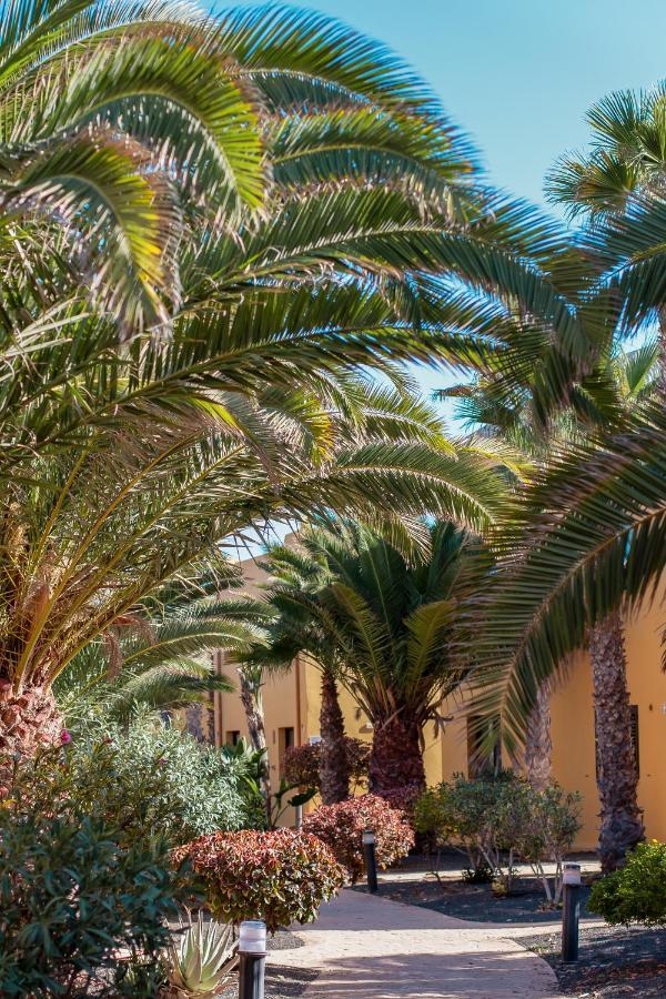 Fuerteventura Apartments Tamarindo 1 Corralejo Exteriör bild