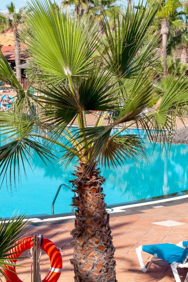Fuerteventura Apartments Tamarindo 1 Corralejo Exteriör bild